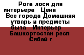 Рога лося для интерьера › Цена ­ 3 300 - Все города Домашняя утварь и предметы быта » Интерьер   . Башкортостан респ.,Сибай г.